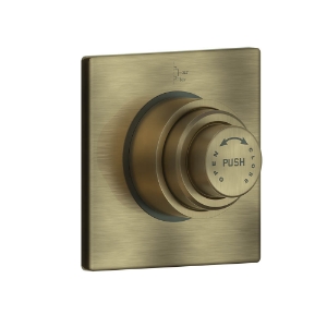 Picture of Metropole Dual Flow In-wall Flush Valve - Antique Bronze 