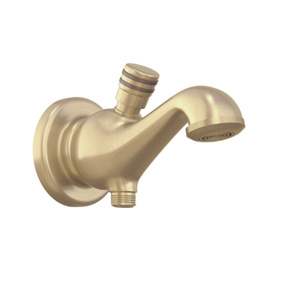 Picture of Queens Bath Spout - Gold Dust 