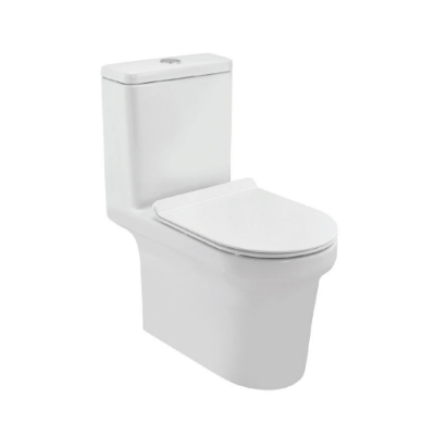 Picture of Single Piece WC