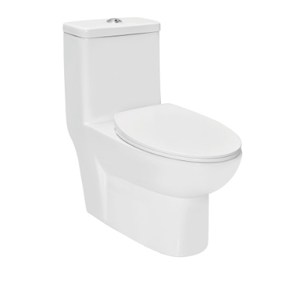 Picture of Single Piece WC