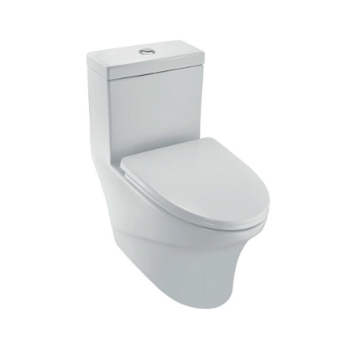 Picture of Single Piece WC