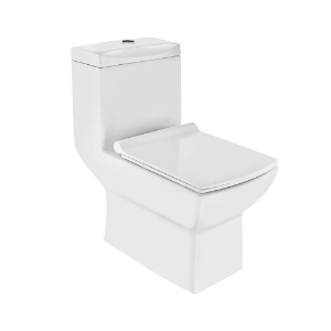 Picture of Single Piece WC