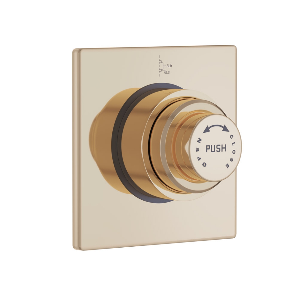 Picture of Metropole Dual Flow In-wall Flush Valve - Auric Gold 