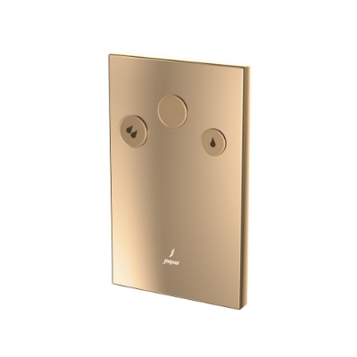 Picture of In-wall i-ﬂushing system - Auric Gold 