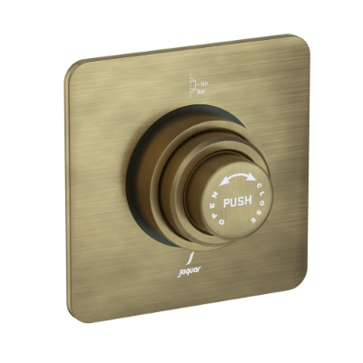 Picture of Metropole Dual Flow In-wall Flush Valve - Antique Bronze 