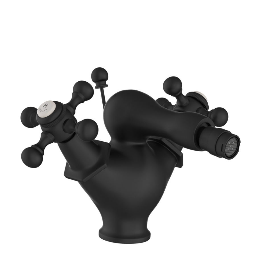 Picture of Monoblock Bidet Mixer with Popup Waste - Black Matt 