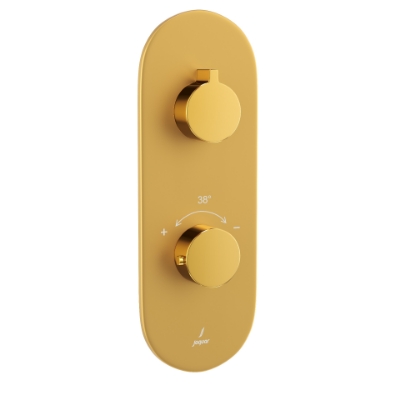 Picture of Aquamax Thermostatic Shower Mixer - Lever: Gold Bright PVD | Body: Gold Matt PVD 