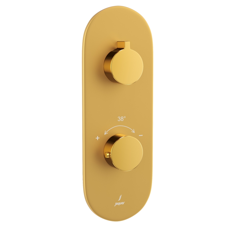 Picture of Aquamax Thermostatic Shower Mixer - Lever: Gold Bright PVD | Body: Gold Matt PVD 