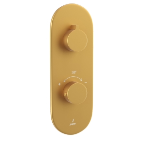 Picture of Aquamax Thermostatic Shower Mixer- Gold Matt PVD 