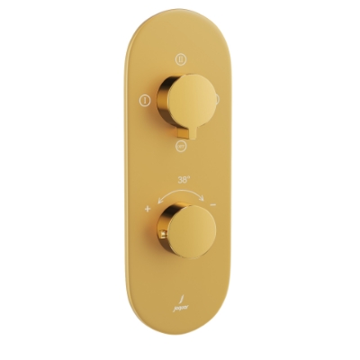Picture of Aquamax Thermostatic Shower Mixer - Lever: Gold Bright PVD | Body: Gold Matt PVD 