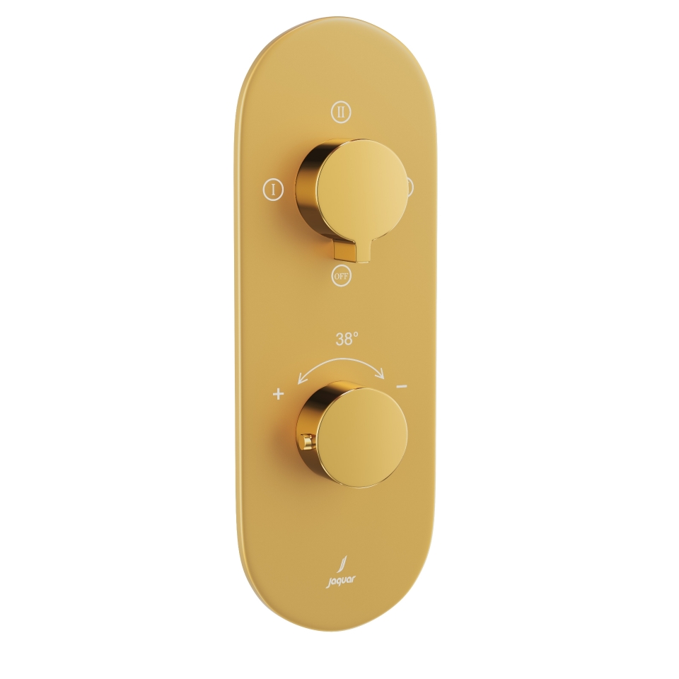 Picture of Aquamax Thermostatic Shower Mixer - Lever: Gold Bright PVD | Body: Gold Matt PVD 