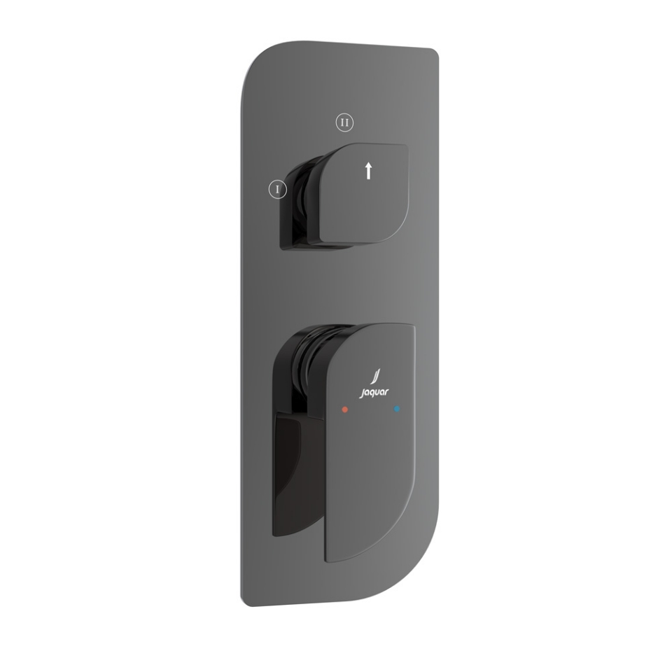 Picture of Alive Aquamax Exposed Part Kit of Single Lever Shower Mixer - Black Chrome 