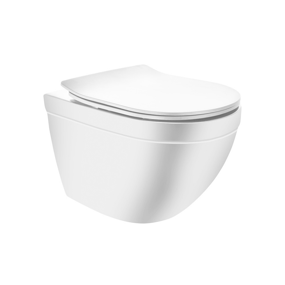 Picture of Rimless Blind Installation Wall Hung WC - White Matt