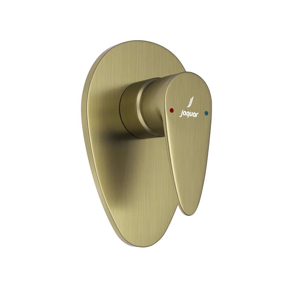 Picture of Exposed Part Kit of Single Lever In-wall Manual Valve - Antique Bronze 