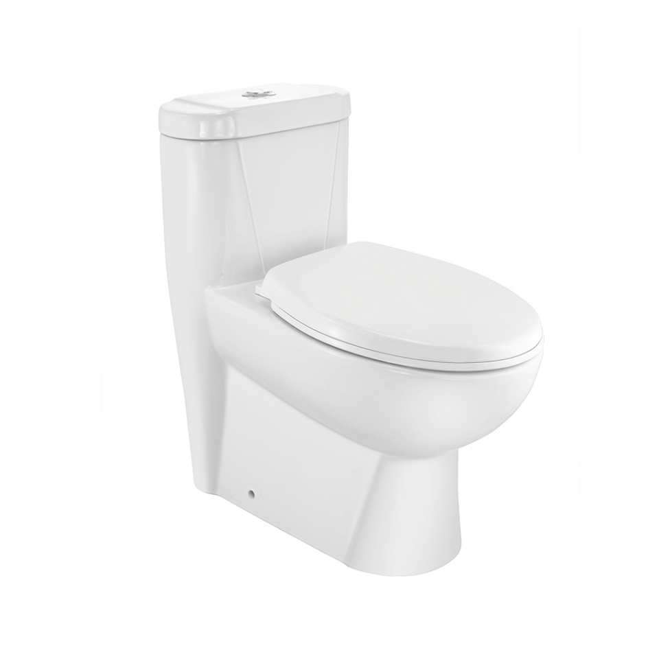 Picture of Rimless Single Piece WC