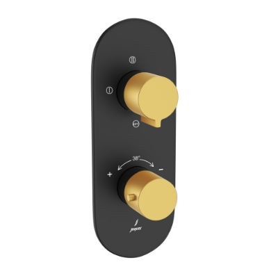 Picture of Aquamax Thermostatic Shower Mixer - Lever: Gold Matt PVD | Body: Black Matt 