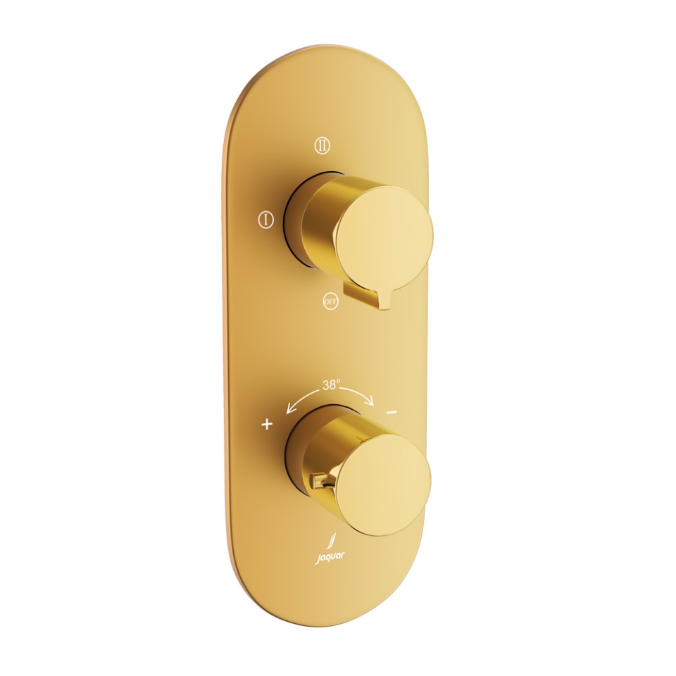 Picture of Aquamax Thermostatic Shower Mixer - Lever: Gold Bright PVD | Body: Gold Matt PVD 