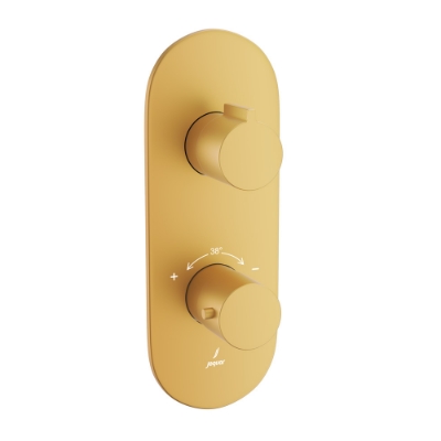 Picture of Aquamax Thermostatic Shower Mixer- Gold Matt PVD 