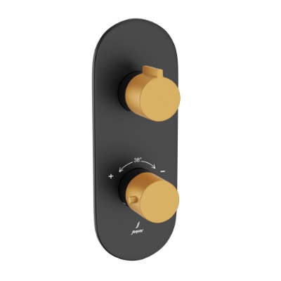 Picture of Aquamax Thermostatic Shower Mixer- Lever: Gold Matt PVD | Body: Black Matt 